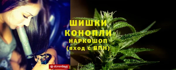 стаф Няндома