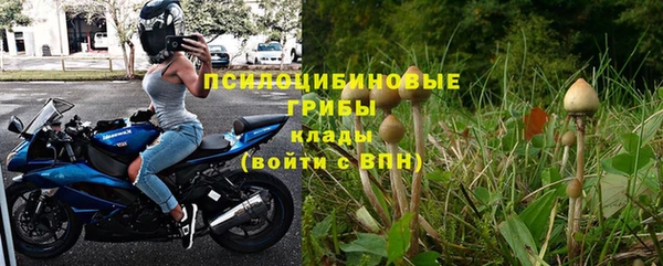 стаф Няндома