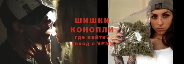 стаф Няндома