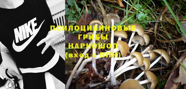 MESCALINE Нягань